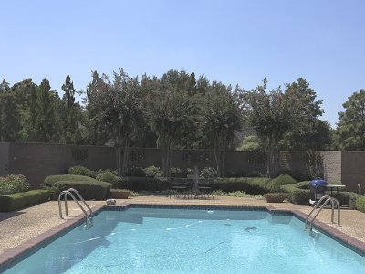 sunlight wb.jpg