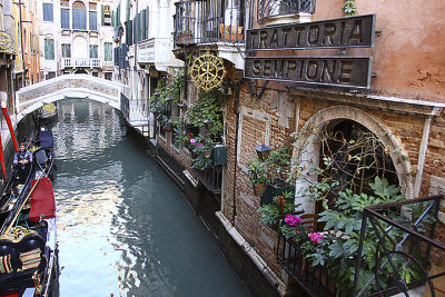 Simpione.jpg