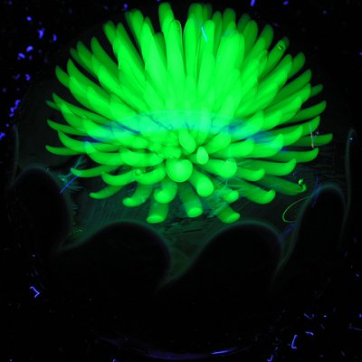 UV pincushion all lit up!