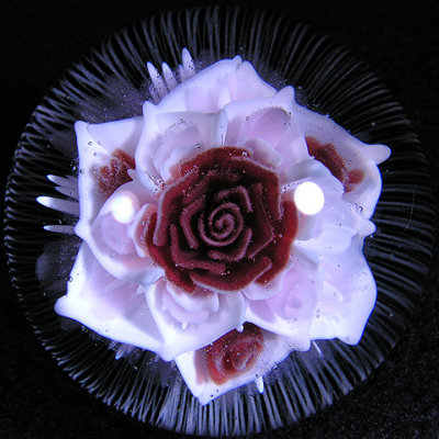Rose is a Rose Size: 1.66 Price: SOLD