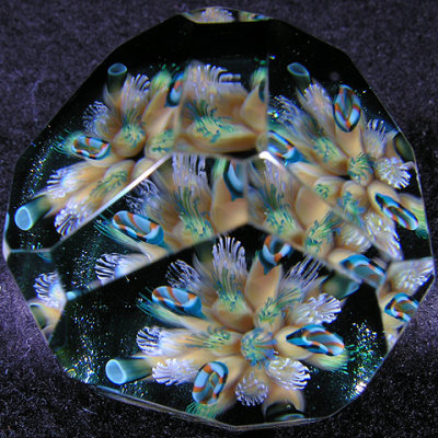 Fractured Reef Size: 1.26 x 1.57 Price: SOLD