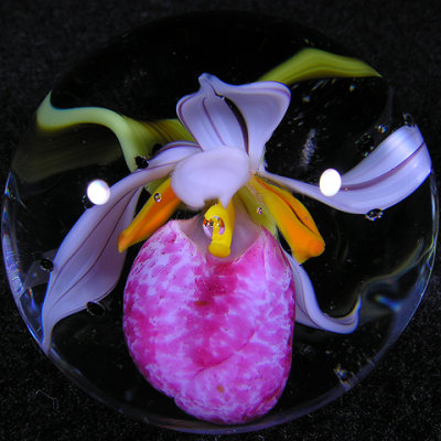Showy Lady's Slipper Blossom  Size: 1.39  Price: SOLD