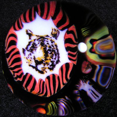 Tiger 007 Size: 1.27 Price: SOLD
