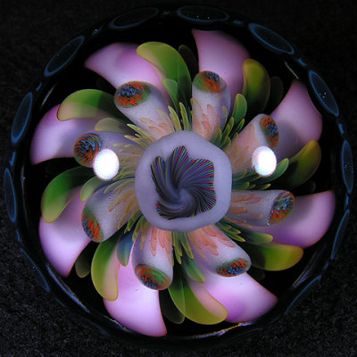 Rich's side with exploded millie and fumed dots.