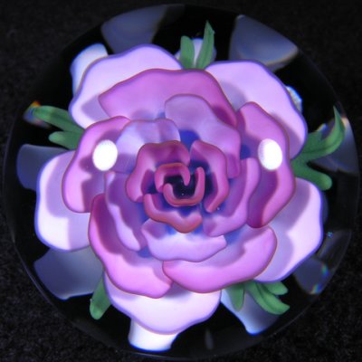 Kobuki did the amazing pink rose.