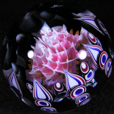 But this one is only a few where Yoshi got halves from Josh and put the marble together!