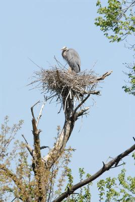 DSC_0015_sm.jpg