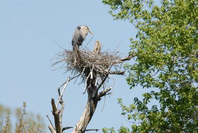 DSC_0054_sm.jpg