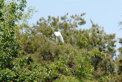 DSC_0067_sm.jpg