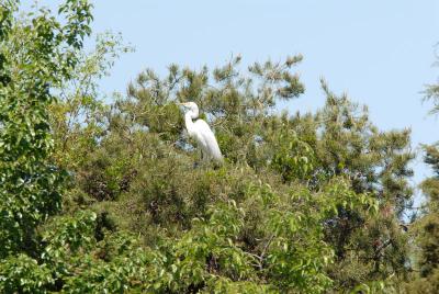 DSC_0069_sm.jpg