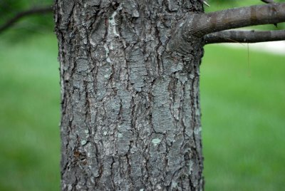 DSC_0026a_sm.jpg