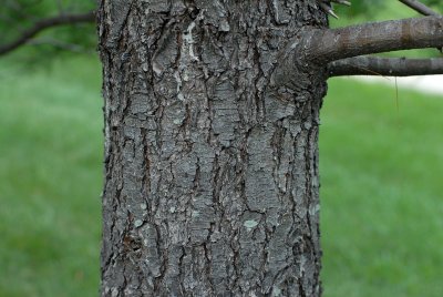 DSC_0027a_sm.jpg