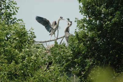 DSC_0150_sm.jpg