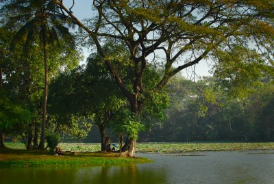 Kandawgyi lake.Yangon