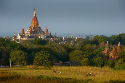 Ananda temple at sunset.Old Bagan
