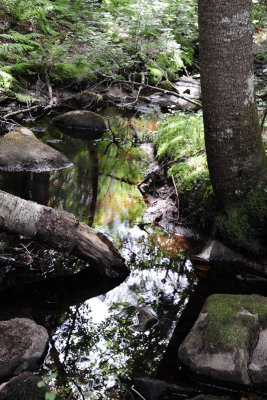 Parc Mauricie NP 2012