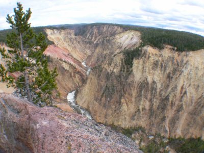 Yellowstone NP   16.jpg