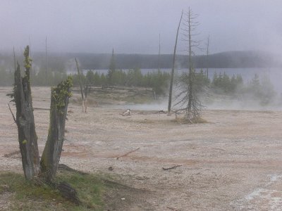 Yellowstone NP   2.jpg