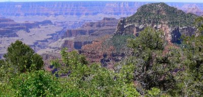 Grand Canyon North Rim104.jpg
