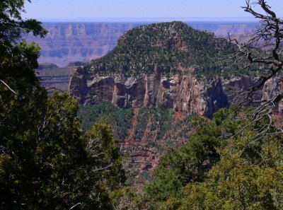 Grand Canyon North Rim105.jpg