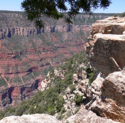 Grand Canyon North Rim121.jpg