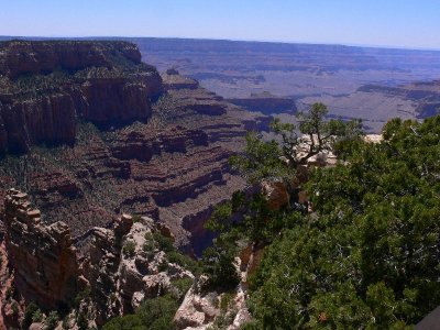 Grand Canyon North Rim133.jpg