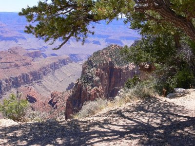 Grand Canyon North Rim137.jpg
