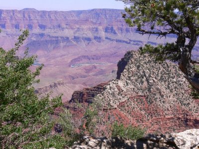 Grand Canyon North Rim142.jpg
