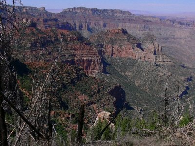 Grand Canyon North Rim153.jpg