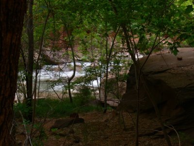 Zion NP   116.jpg