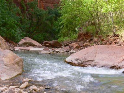 Zion NP   119.jpg