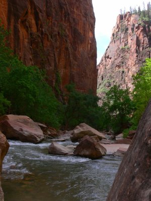 Zion NP   120.jpg