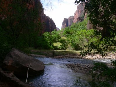 Zion NP   122.jpg