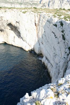 IMG_4635.jpg