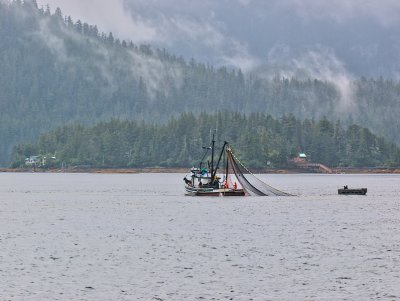 Purse Seiner