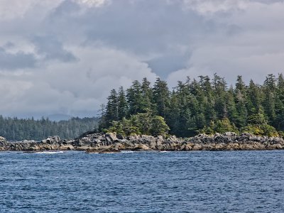 Rocky Island Shore