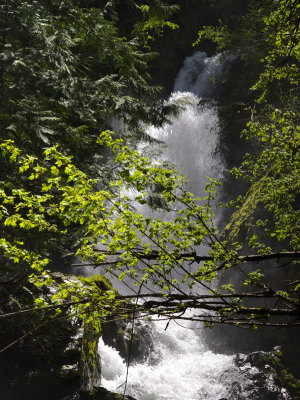 Falls Selmo Rest Stop
