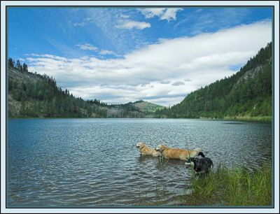 Doggies, Lake Ellen