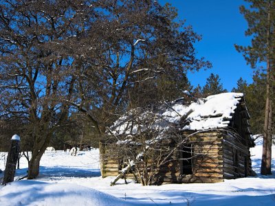 Log shack, Huckleberry Mts.