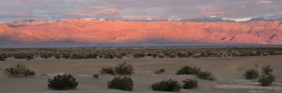Death Valley II_02182009-013_3x1.jpg