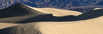 Death Valley II_02182009-053_3x1.jpg
