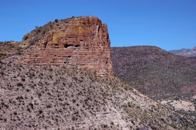 Phoenix 5-06-073.jpg
