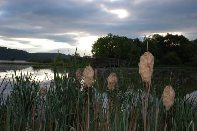 Faler Lake 06132006-016.jpg