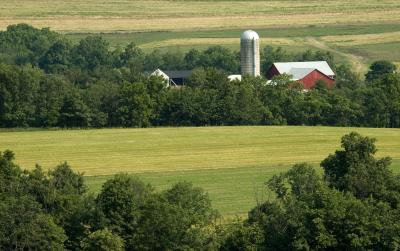 PA Farm 06152006-002.jpg