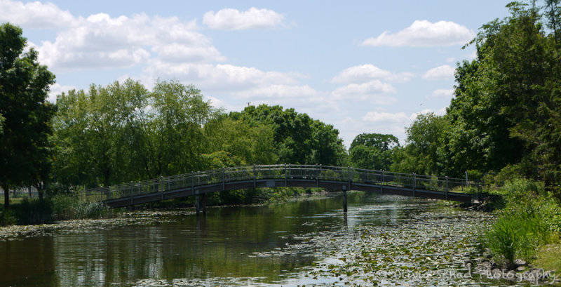 Lily pad bridge