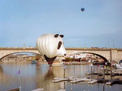 Panda at the bridge2