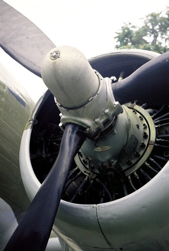 C4_0016.JPG