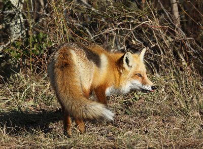 IMG_5314_2.jpg