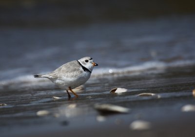 IMG_0607_2.jpg