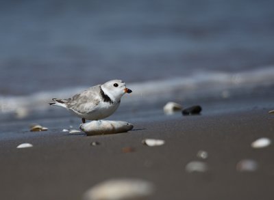IMG_0613_2.jpg
